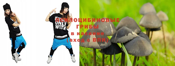 гидропоника Липки