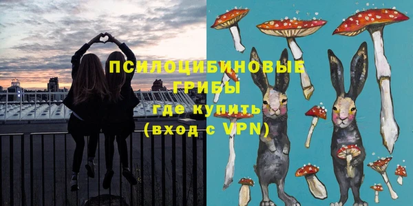 гидропоника Липки