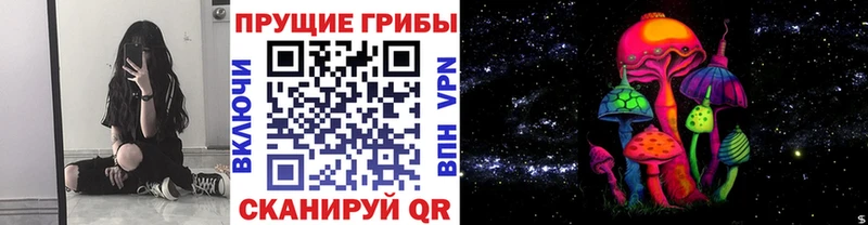 Купить  Углегорск  Псилоцибиновые грибы Psilocybine cubensis 